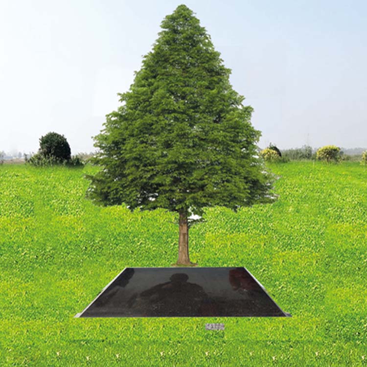 树葬.jpg